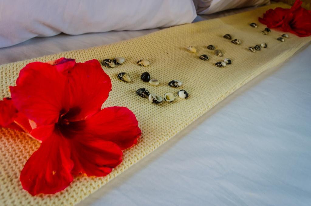 Coralview Island Resort Tavewa Island Zewnętrze zdjęcie